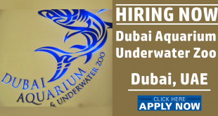 Dubai Aquarium Jobs
