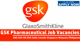 GSK Jobs