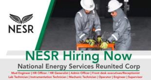 nesr jobs