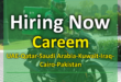 careem dubai careers