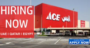 ACE Hardware careers
