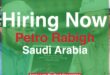 Petro Rabigh Jobs and Careers - Saudi Arabia (2026) Petro Rabigh Jobs