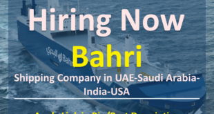 DryDocks World Dubai careers