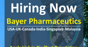 Bayer careers