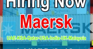 Maersk jobs