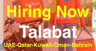 talabat careers