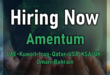 Amentum careers