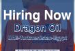 dragon oil jobs