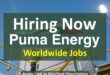 Puma Energy careers