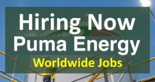 Puma Energy careers
