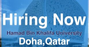 Hamad bin khalifa university Jobs
