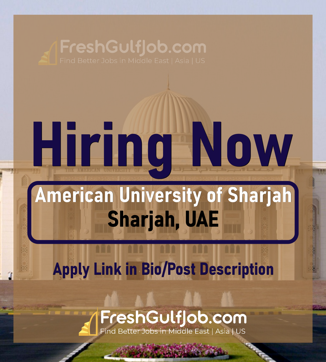 American University of Sharjah Careers 2024