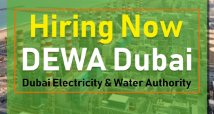 dewa careers