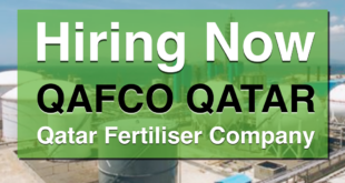 qafco careers