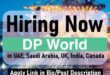 Dp world Jobs