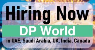 Dp world Jobs