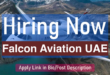 Falcon Aviation services