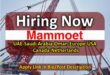 Mammoet Jobs